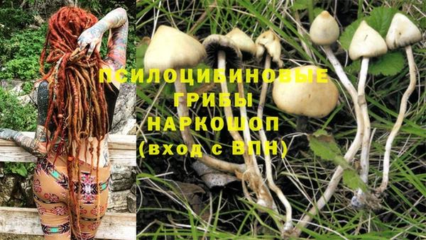 герыч Арсеньев