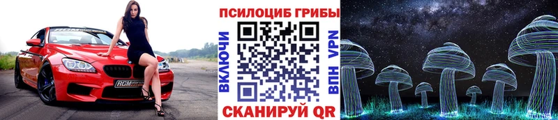 хочу   Урус-Мартан  нарко площадка формула  Псилоцибиновые грибы Magic Shrooms 